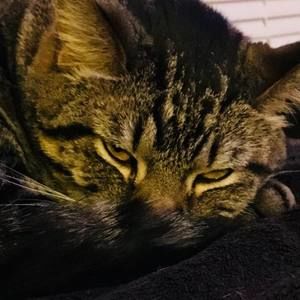 Meet your Posher, Matthew